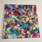 Canvas Album covers | Caribou, Jon Hopkins, Ophalen, Gebruikt, 50 tot 75 cm, Schilderij