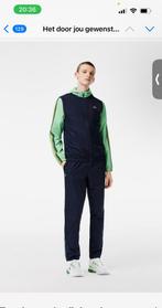 Lacoste Trainingspak Men, Ophalen of Verzenden