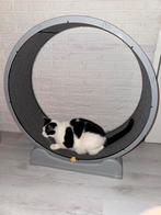 Looprad voor katten, Dieren en Toebehoren, Katten-accessoires, Ophalen, Zo goed als nieuw