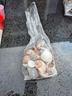 Schelpjes, Ophalen of Verzenden, Zo goed als nieuw, Overige materialen, Minder dan 25 cm