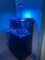 AI Prime 16 HD – zwart – inclusief Flexarm, Dieren en Toebehoren, Vissen | Aquaria en Toebehoren, Ophalen of Verzenden, Gebruikt