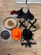 Heksen hoeden 2x, Kleding | Dames, Carnavalskleding en Feestkleding, Ophalen of Verzenden, Zo goed als nieuw, Maat 38/40 (M)