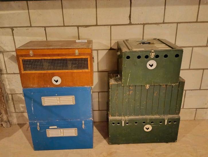 6 vervoerskisten te koop, Dieren en Toebehoren, Pluimvee | Toebehoren, Gebruikt, Overige typen, Ophalen
