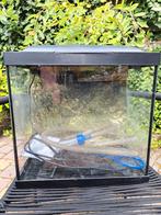 Super Fish aquarium, Dieren en Toebehoren, Ophalen, Leeg aquarium