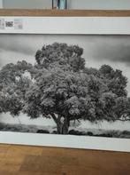 Glaskunst Levensboom 120x80 Ter Halle - Nieuw in verpakking, Ophalen, Nieuw, Print, 100 tot 125 cm