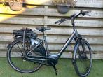 Pegasus Ravenno e8f Bosch elektrische fiets, 47 tot 51 cm, Ophalen of Verzenden, Zo goed als nieuw, Overige merken