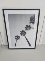 Poster Desenio Palmbomen, Verzamelen, Posters, Ophalen of Verzenden