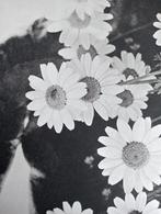 Flower Power Fotogravure - Jaren 60/70, Ophalen of Verzenden