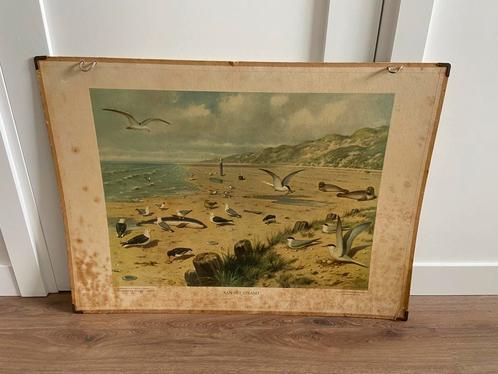 Oude schoolplaat 'Aan het strand' tekening door Koekkoek, Antiek en Kunst, Curiosa en Brocante, Ophalen