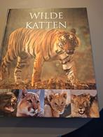 Boek wilde katten, Ophalen of Verzenden, Zo goed als nieuw