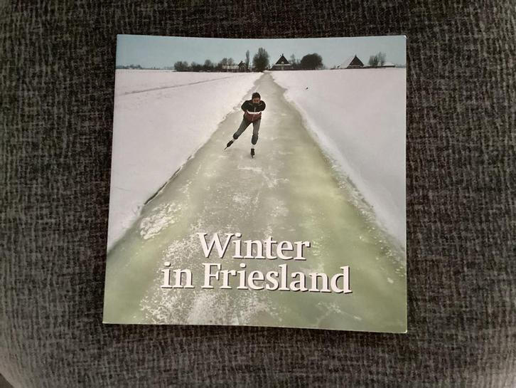 Winter in Friesland, Boeken, Geschiedenis | Stad en Regio, Zo goed als nieuw, Ophalen of Verzenden