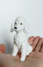 Mid century, zeldzaam poedel beeldje, Verzamelen, Beelden en Beeldjes, Ophalen of Verzenden, Zo goed als nieuw, Dier