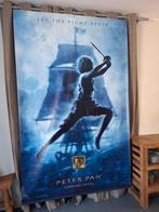 Uniek! Heel grote poster (zware kwaliteit vinyl) Peter Pan, Verzamelen, Posters, Ophalen, Zo goed als nieuw, Deurposter of groter