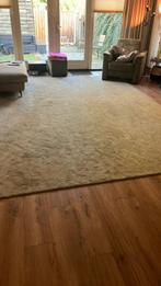 Groot licht groen kleed 400 x300 cm, Huis en Inrichting, Ophalen, Overige kleuren, 200 cm of meer, 200 cm of meer