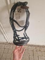 Hoofdstel maat  cob, Ophalen of Verzenden, Nieuw, Dressuur