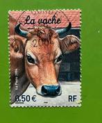 Koe, Ophalen of Verzenden