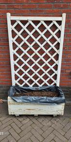 Plantenbak met trallis rek, Ophalen, Tuin, Zo goed als nieuw, 60 cm of meer