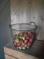Elstar appels ongesorteerd. Biologisch, Ophalen of Verzenden
