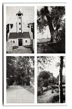 Nederhemert, Groeten uit Nederhemert, Verzenden, 1960 tot 1980, Gelopen, Gelderland
