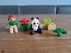 Duplo Panda Set 6173, Ophalen of Verzenden, Gebruikt, Complete set, Duplo