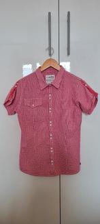 Mooi hiking shirt Wildebeast maat L, Ophalen of Verzenden, Zo goed als nieuw, Kleding