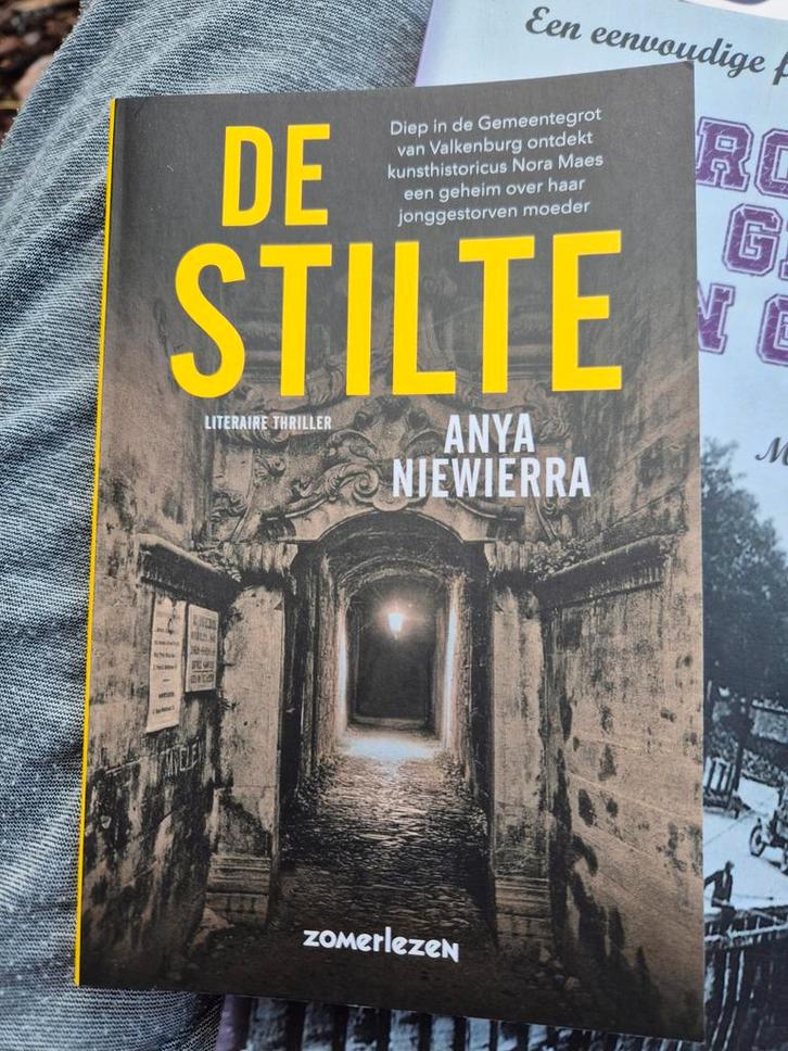 De Stilte - Anya Niewierra, Boeken, Thrillers, Zo goed als nieuw, Nederland, Ophalen of Verzenden
