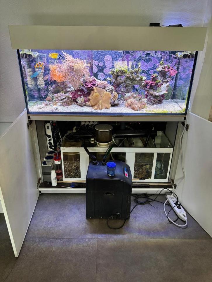 Aquaja 535 DL, Dieren en Toebehoren, Vissen | Aquaria en Toebehoren, Gebruikt, Gevuld zeewateraquarium, Ophalen