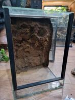 Terrarium 36x25x25 met achterwand, Dieren en Toebehoren, Reptielen en Amfibieën | Toebehoren, Ophalen, Gebruikt