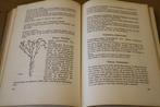 De Plant als Genees- Genot- en Voedingsmiddel - 1952, Boeken, Gezondheid, Dieet en Voeding, Ophalen of Verzenden, Gelezen, Kruiden en Alternatief
