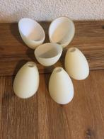 6 Lampenkapjes, Ophalen of Verzenden, Zo goed als nieuw