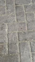 240m2  gebruikte betonklinkers heide, Ophalen, Gebruikt, Klinkers, 10 m² of meer