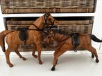 Twee bijzonder mooie paarden., Ophalen of Verzenden