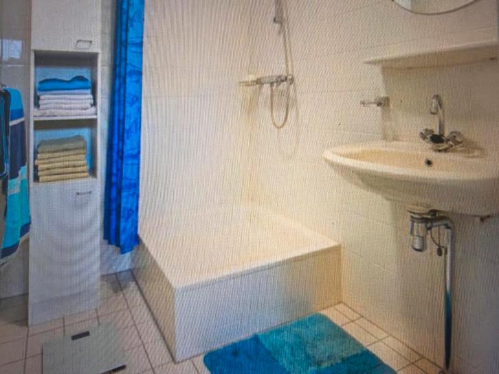 Douchebak, wastafels, planchet, Huis en Inrichting, Badkamer | Complete badkamers, Ophalen of Verzenden