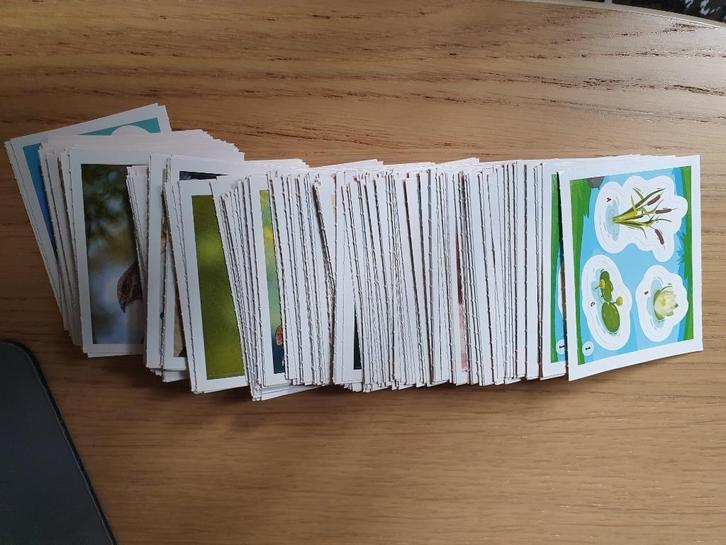 Coop dieren dichtbij stickers, Verzamelen, Supermarktacties, Coop, Ophalen of Verzenden