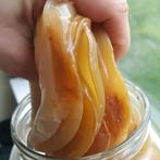 Kombucha Zwammen (Scoby),  Ook Jun Kombucha verkrijgbaar., Diversen, Levensmiddelen, Ophalen