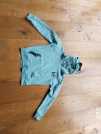 Ravagio Hoodie Jongens Maat 164-170, Overige kleuren, Ravagio, Overige maten, Ophalen of Verzenden