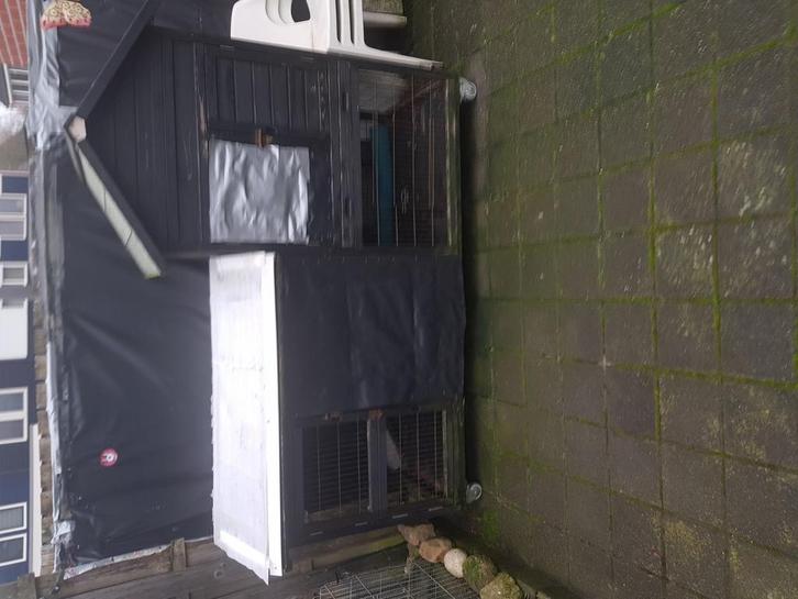 Buitenhok met ren, Dieren en Toebehoren, Knaagdieren en Konijnen | Hokken en Kooien, Gebruikt, Hok, 90 cm of meer, 110 cm of meer