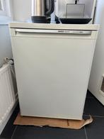 Vriezer - Bosch Exclusiv Economic - Tafelmodel, Gebruikt, Ophalen, Vrieskast, 85 tot 120 cm