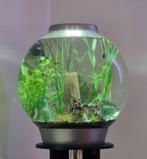 Biorb Classic 60L compleet incl. pomp, Dieren en Toebehoren, Ophalen, Gebruikt