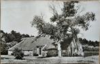 Terschelling boerderij., Ophalen of Verzenden, 1940 tot 1960, Gelopen, Waddeneilanden