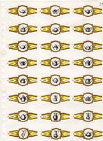 Rumbo NF  Electro Plata  goud  geel, Verzenden, Zo goed als nieuw, Sigarenbandjes