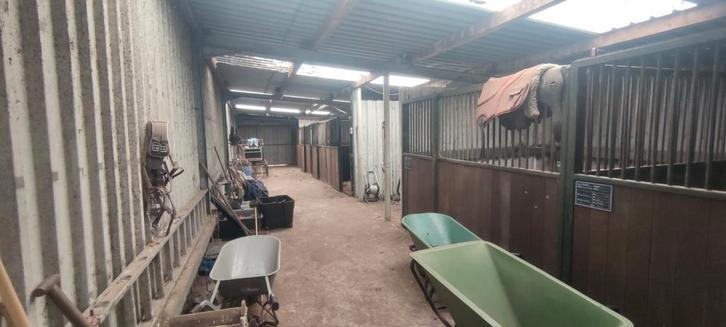 Paardenstallen met weide te huur, Dieren en Toebehoren, Stalling en Weidegang