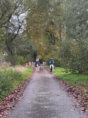 buitenritten soesterduinen beschikbaar voor biedingen