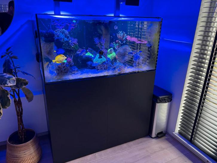 Waterbox 110.4, Dieren en Toebehoren, Vissen | Aquaria en Toebehoren, Leeg aquarium, Ophalen