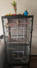 Montana Paradiso 60 kooi NIEUW!, Dieren en Toebehoren, Ophalen, Nieuw, Vogelkooi
