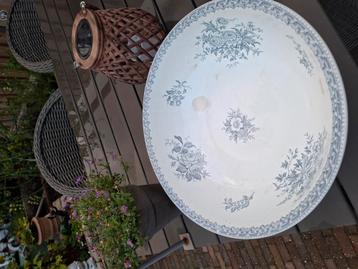 Grote schaal van een lampet set beschikbaar voor biedingen