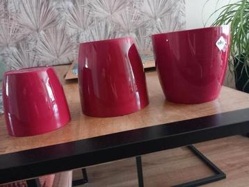 Elho bloempotten. beschikbaar voor biedingen