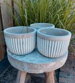 Bloempot cement grijs Parlane grey planter 3 stuks Nieuw, Tuin en Terras, Ophalen, Overige materialen, Rond, Nieuw