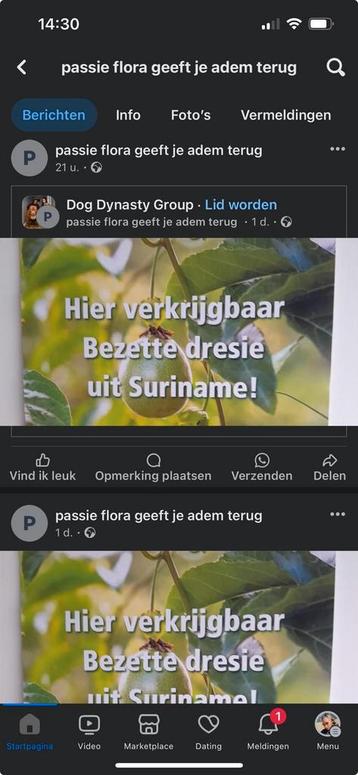 PASSIE FLORA DRANK.  beschikbaar voor biedingen