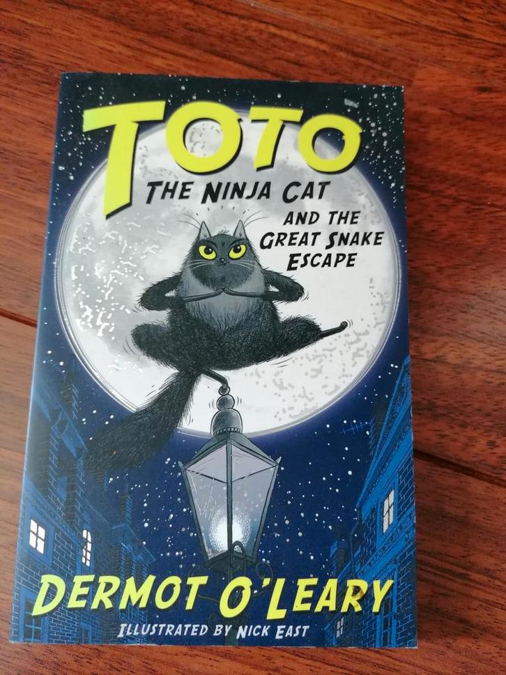 Toto the Ninja cat (Engels), Boeken, Kinderboeken | Jeugd | onder 10 jaar, Ophalen of Verzenden